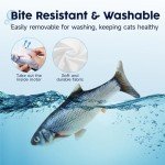 Wiggling Fish USB Rechargeable Cat Toy for Fun