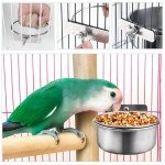 4 Stainless Steel Bird Bowls for Cage Feeding