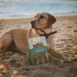 Grain Free Forage Fish Dog Chews - 200g