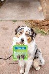 Grain Free Forage Fish Dog Chews - 200g