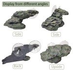Turtle Basking Platform and Climbing Ramp Decor