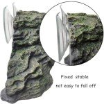 Turtle Basking Platform and Climbing Ramp Decor