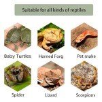 Turtle Basking Platform and Climbing Ramp Decor