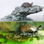Turtle Basking Platform and Climbing Ramp Decor