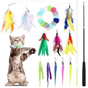 14-Piece Feather Cat Toy Set for Fun & Exercise