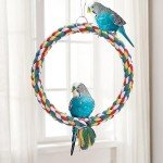 Colorful Bird Rope Swing and Climbing Toy
