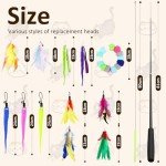 14-Piece Feather Cat Toy Set for Fun & Exercise