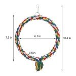 Colorful Bird Rope Swing and Climbing Toy
