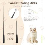 14-Piece Feather Cat Toy Set for Fun & Exercise