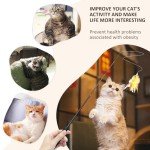 14-Piece Feather Cat Toy Set for Fun & Exercise