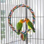 Colorful Bird Rope Swing and Climbing Toy