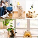 14-Piece Feather Cat Toy Set for Fun & Exercise