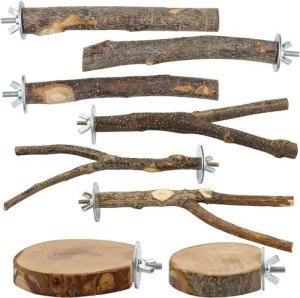 Wooden Bird Perch Set for Parrots & Budgies