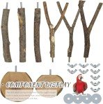 Wooden Bird Perch Set for Parrots & Budgies
