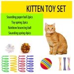 10-Piece Interactive Cat Toy Set with Crinkle Balls