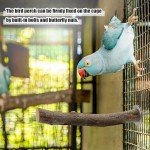 Wooden Bird Perch Set for Parrots & Budgies