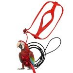 Adjustable Outdoor Bird Leash for Parrots & Poultry