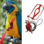 Adjustable Outdoor Bird Leash for Parrots & Poultry