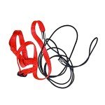 Adjustable Outdoor Bird Leash for Parrots & Poultry