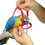Adjustable Outdoor Bird Leash for Parrots & Poultry
