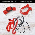 Adjustable Outdoor Bird Leash for Parrots & Poultry