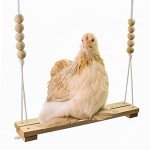 Wooden Chicken Swing Toy for Birds and Poultry