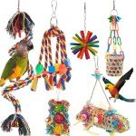 Colorful 6-Piece Parrot Toy Set with Bell
