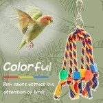 Colorful 6-Piece Parrot Toy Set with Bell