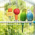Stainless Steel Bird Food Holder Skewers (2 Pack)