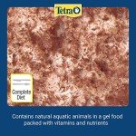 Tetra FreshDelica Brine Shrimp Snack for Fish