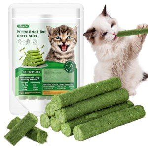 Cat Grass Teething Stick - Edible Chew Toy