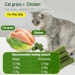 Cat Grass Teething Stick - Edible Chew Toy