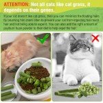 Cat Grass Teething Stick - Edible Chew Toy