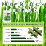 Cat Grass Teething Stick - Edible Chew Toy