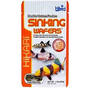 Hikari Sinking Wafers 50g - High Protein Fish Food