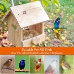 Sukh 2 Pack Bird Nesting Material for All Birds