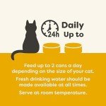 Applaws Natural Ocean Fish Wet Cat Food 70g 24-Pack
