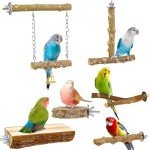 6PCS Natural Wood Bird Perches for Parrots and Macaws