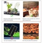 AIMALL Reptile Heating Mat - Safe & Waterproof