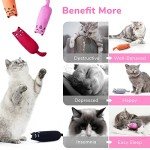 5 Pack Catnip Toys for Chewing Cats
