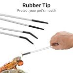 Stainless Steel Reptile Feeding Tongs – 2 Pack