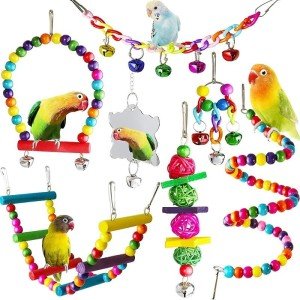 7-Piece Colorful Bird Toys and Accessories Set
