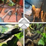 Triangular Reptile Hammock Set for Lizards & Snakes