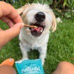 Australian Ocean Fish Dog Snack - 80g