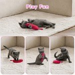 5 Pack Catnip Toys for Chewing Cats