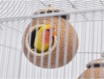 Coconut Shell Birdhouse Nest for Parakeets & More