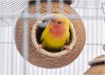 Coconut Shell Birdhouse Nest for Parakeets & More