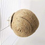 Coconut Shell Birdhouse Nest for Parakeets & More