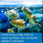 API Goldfish Sinking Pellets for Healthy Fish