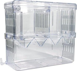 Acrylic Fish Isolation Box for Breeding and Acclimation